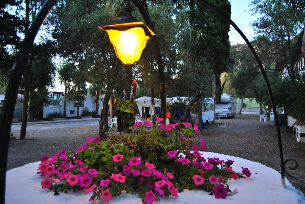 Camping B&B Gioiosa Gioiosa Marea Exterior foto