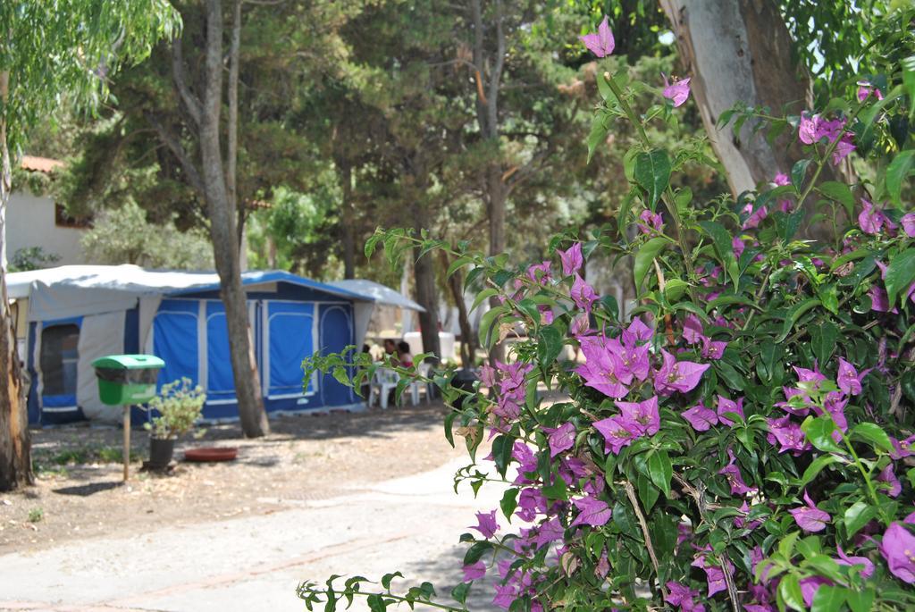Camping B&B Gioiosa Gioiosa Marea Exterior foto